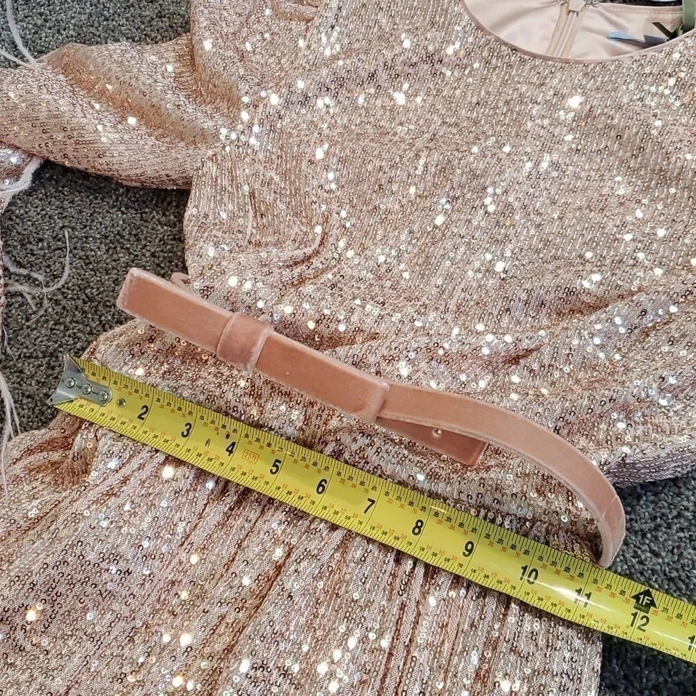 ANTONIO MELANI xNicola Bathie Nicola Sequin Belted Feathered A-Line 0 dress - Picture 11 of 16